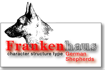 frankenhaus logo